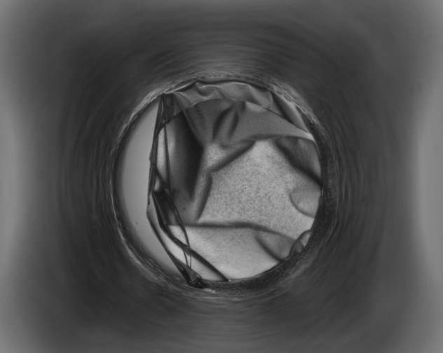 X0000082990530200703020846