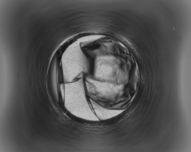 X0000082990532200703020846