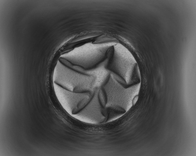 X0000082990535200703020846