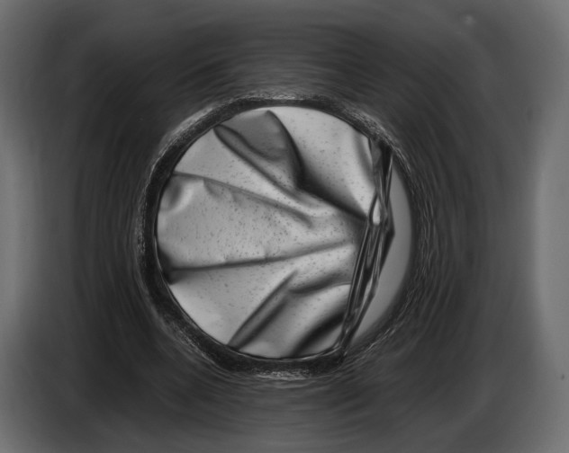 X0000082990536200703020846