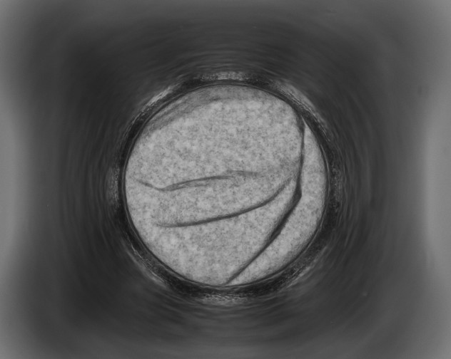 X0000082990537200703020846