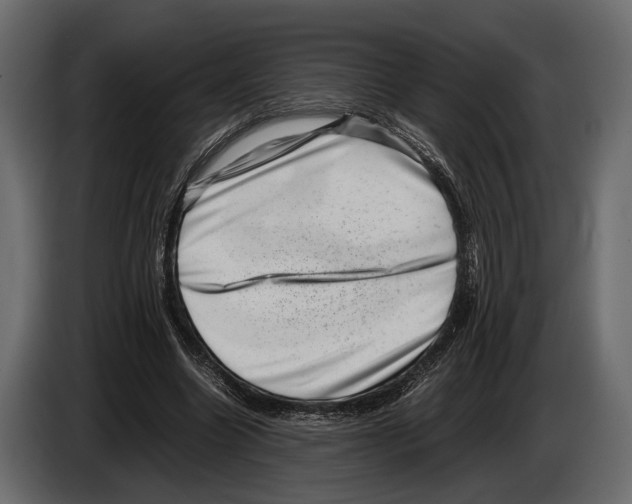 X0000082990538200703020846