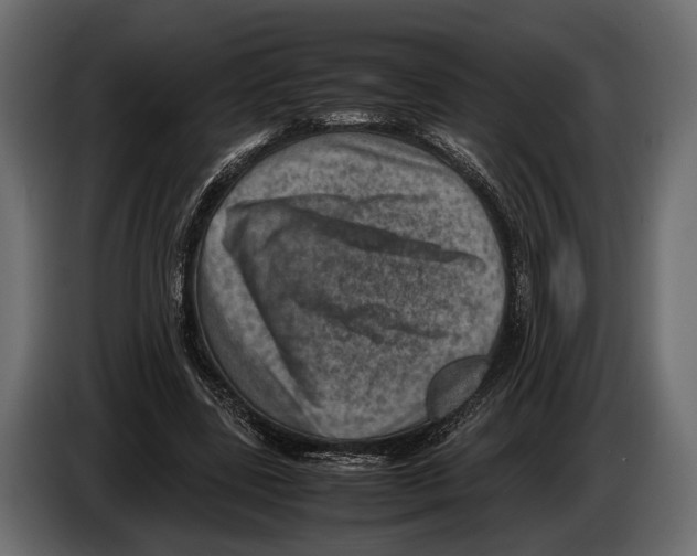 X0000082990539200703020846