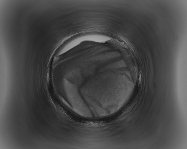 X0000082990540200703020846