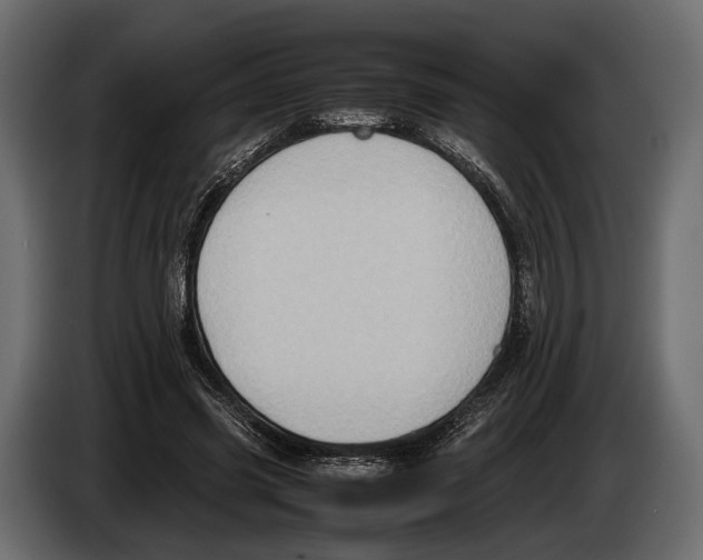 X0000082990541200703020846