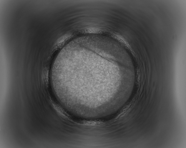 X0000082990542200703020846