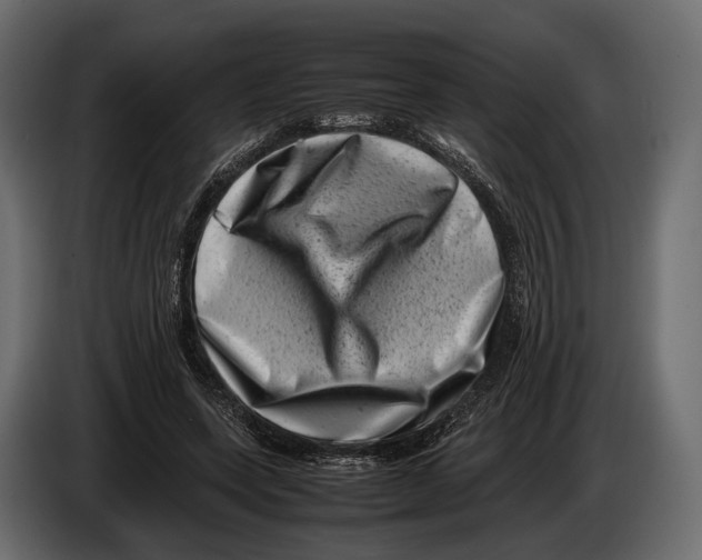 X0000082990543200703020846