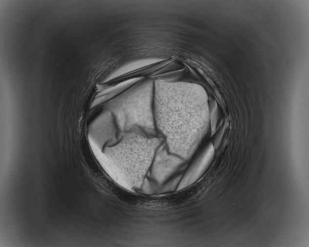 X0000082990546200703020846