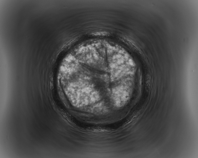 X0000082990547200703020846