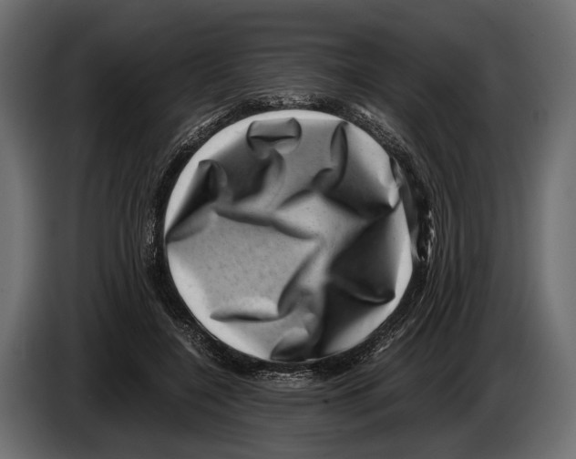 X0000082990548200703020846