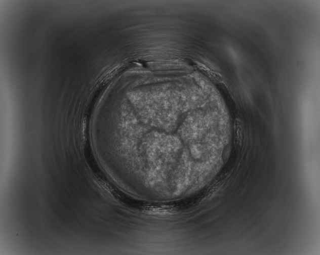 X0000082990550200703020846