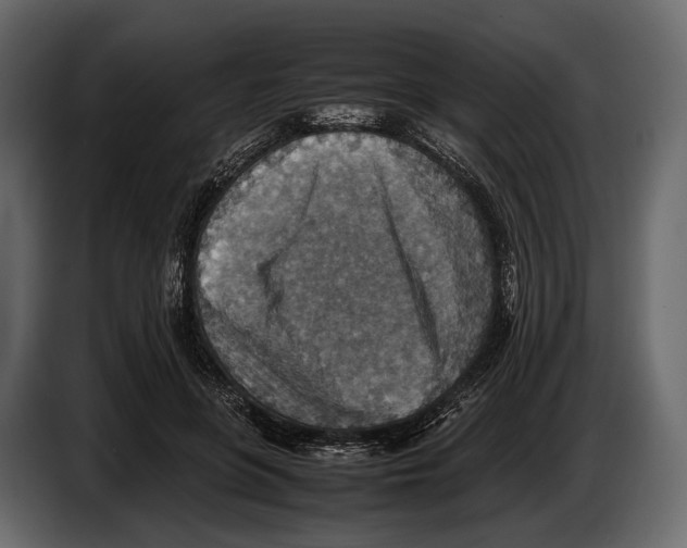 X0000082990551200703020846