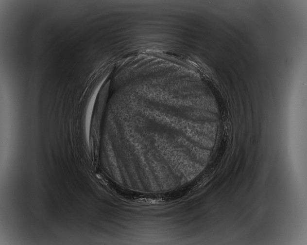 X0000082990552200703020846