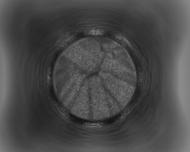 X0000082990553200703020846