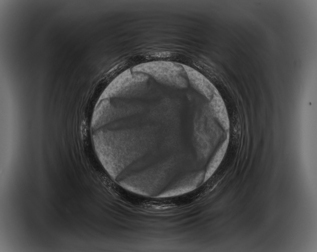 X0000082990555200703020846