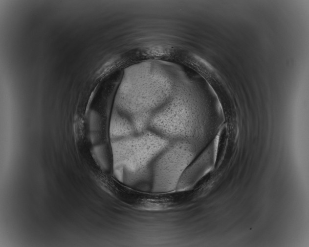 X0000082990556200703020846