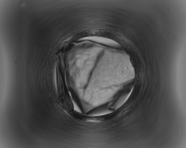 X0000082990558200703020846