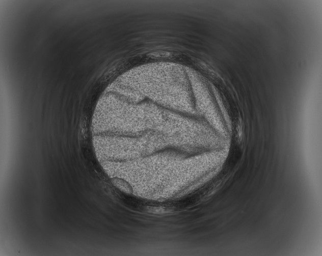 X0000082990561200703020846