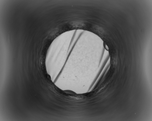 X0000082990567200703020846