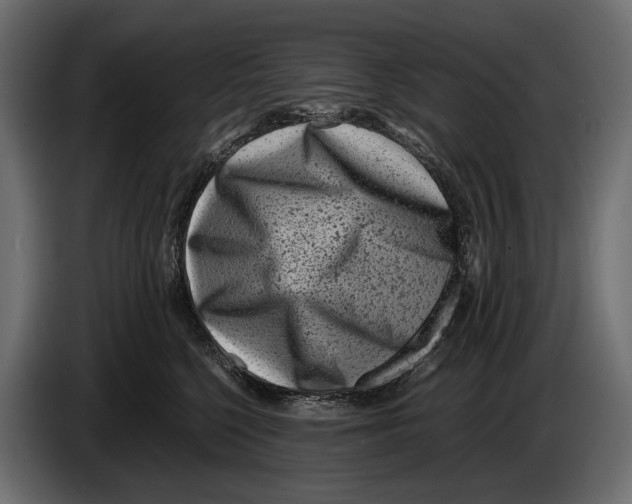 X0000082990568200703020846