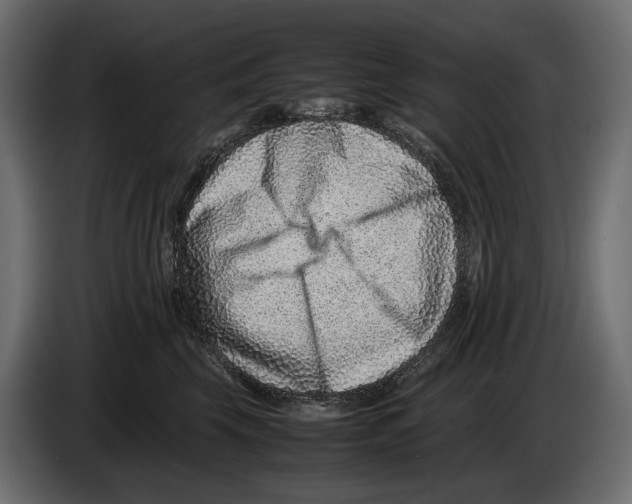 X0000082990569200703020846