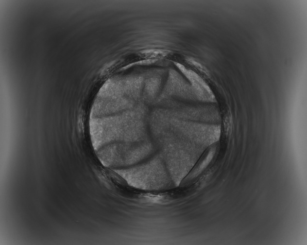 X0000082990570200703020846