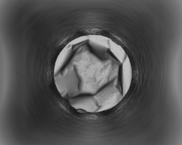 X0000082990572200703020846