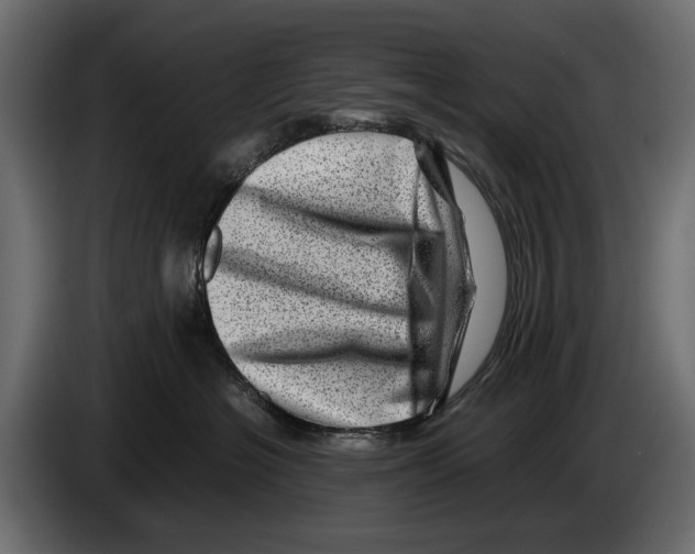 X0000082990574200703020846