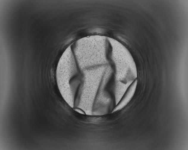 X0000082990575200703020846