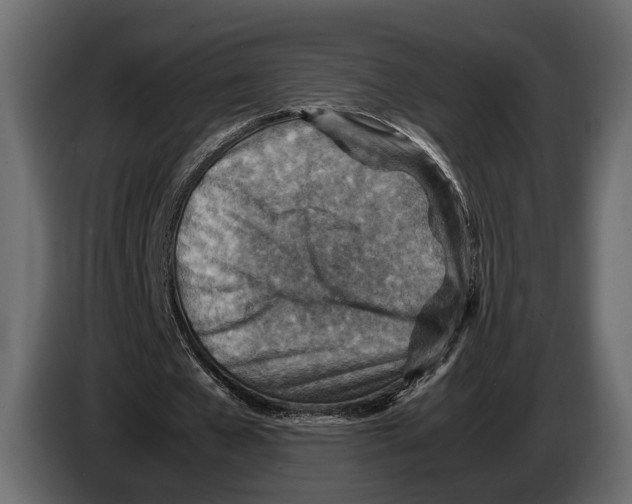 X0000082990577200703020846