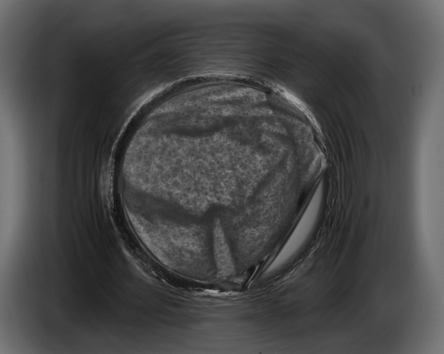 X0000082990580200703020846