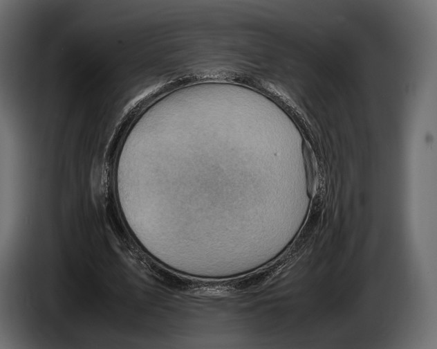 X0000082990583200703020846