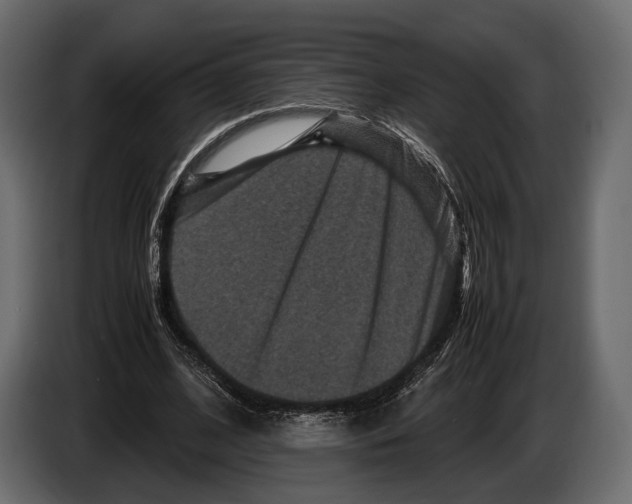 X0000082990584200703020846