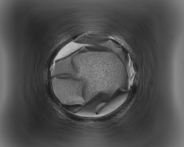 X0000082990585200703020846