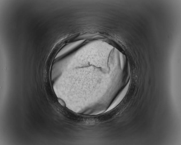 X0000082990587200703020846