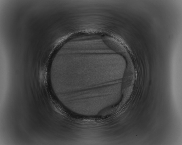 X0000082990588200703020846