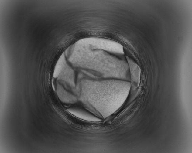 X0000082990589200703020846