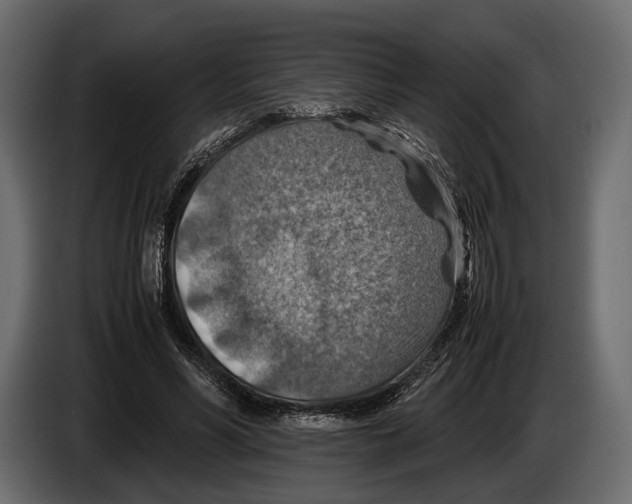 X0000082990590200703020846