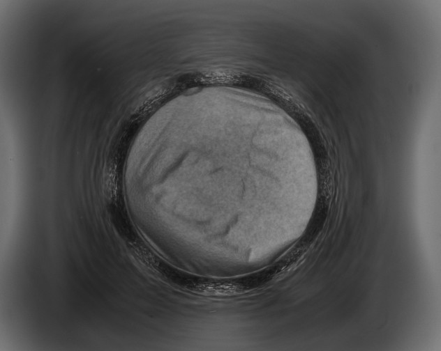 X0000082990599200703020846