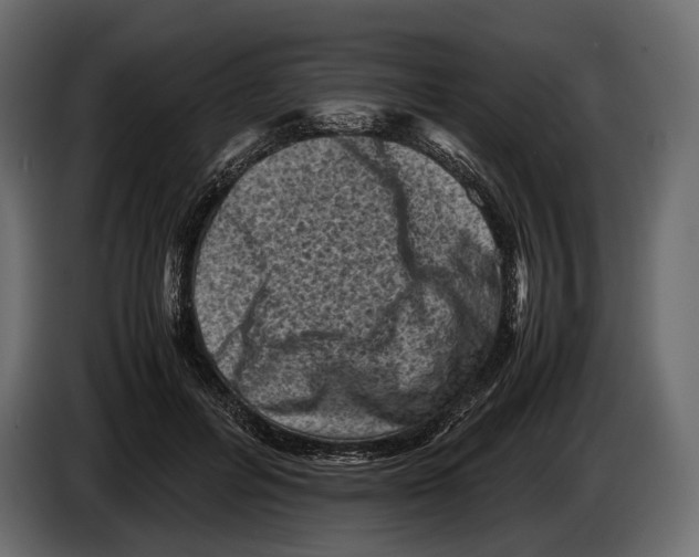 X0000082990600200703020846