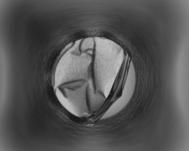 X0000082990601200703020846