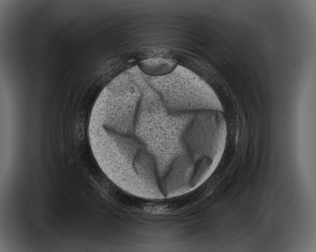 X0000082990602200703020846