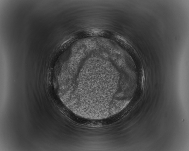 X0000082990604200703020846