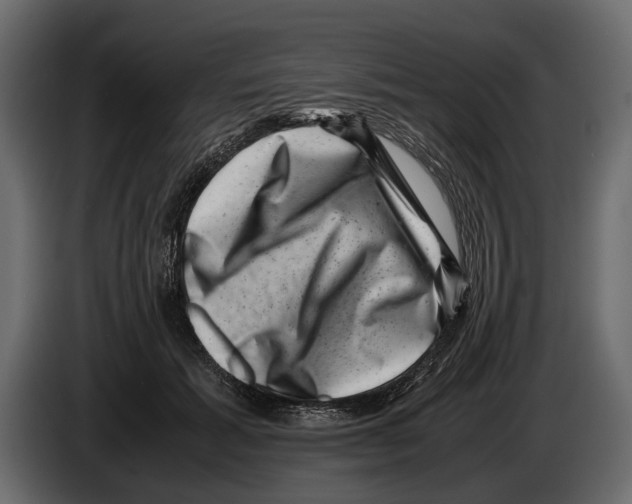 X0000082990605200703020846