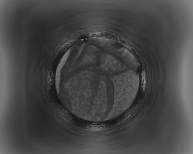 X0000082990608200703020846