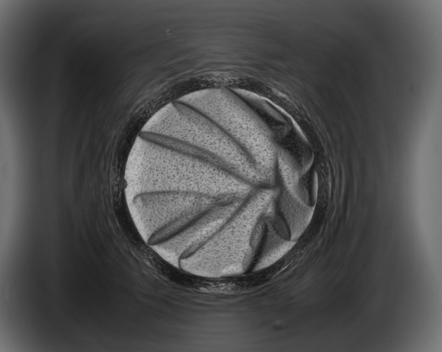 X0000082990609200703020845