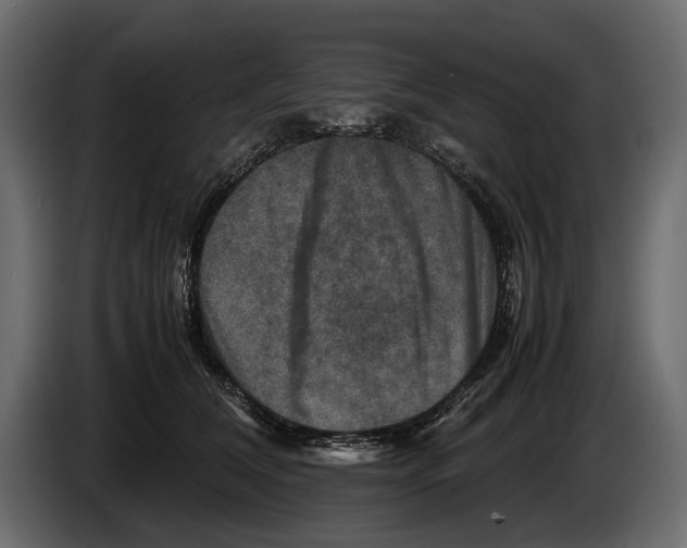 X0000082990612200703020845