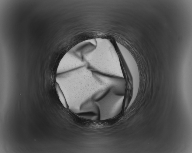 X0000082990613200703020845