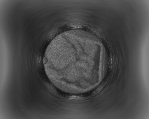 X0000082990614200703020845