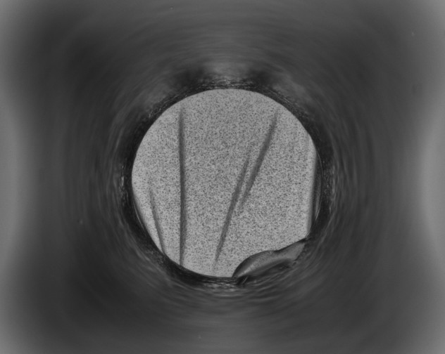 X0000082990615200703020845